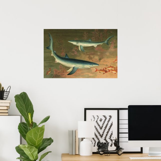 Vintage Blåhaj som äter fisk, marint liv Poster (Hemmakontoret)