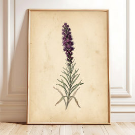 Vintage Blazing Star Blomster Väggkonst