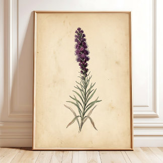 Vintage Blazing Star Blomster Väggkonst