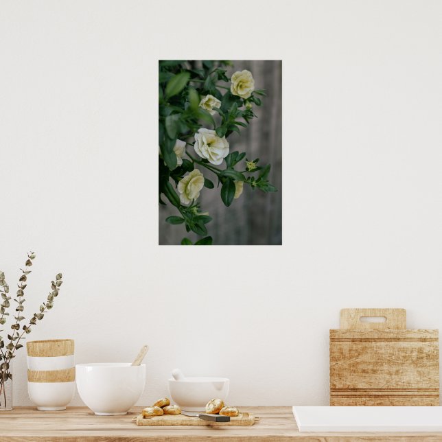 Vintage Blek Gult Petunias Poster (Kök)