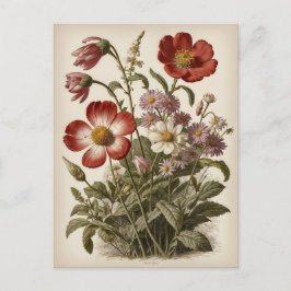 Vintage blomillustration vykort