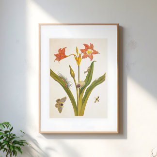 Vintage Blomma Växt Botanisk Illustration Poster
