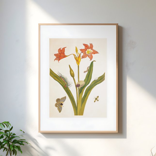 Vintage Blomma Växt Botanisk Illustration Poster (Skapare uppladdad)