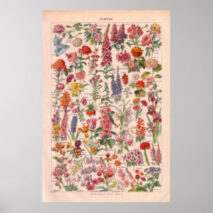 Vintage   blommaaffisch 1920 poster