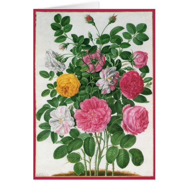 Vintage blommande blommor, vårträdgårdsrosor hälsningskort (Framsidan)