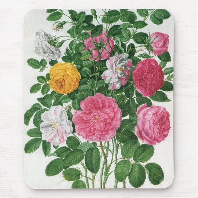 Vintage blommande blommor, vårträdgårdsrosor musmatta (Framsidan)