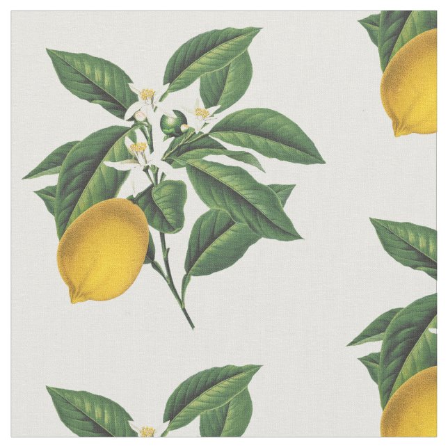Vintage Blommar för botaniska citronfrukter Tyg (Närbild)