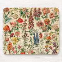 Vintage blommar vid Adolphe Millot
