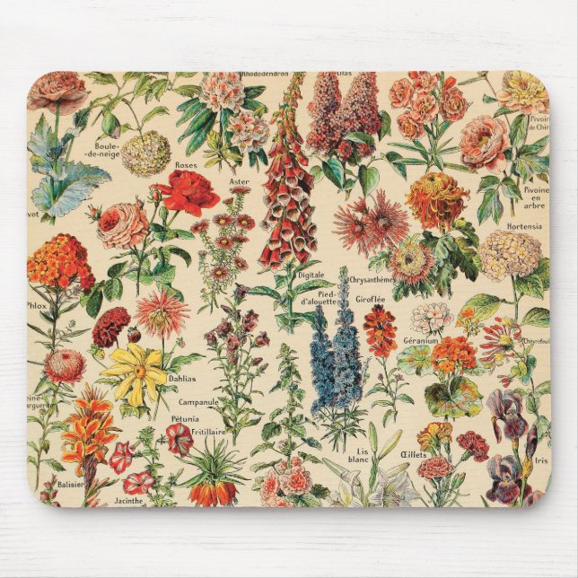 Vintage blommar vid Adolphe Millot Musmatta (Framsidan)