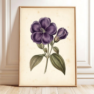 Vintage blommig botanisk väggkonsttryck poster
