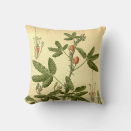 Vintage Blommigt Art Sensitive Plant Mimosa Pudica Kudde