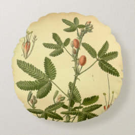 Vintage Blommigt Art Sensitive Plant Mimosa Pudica Rund Kudde