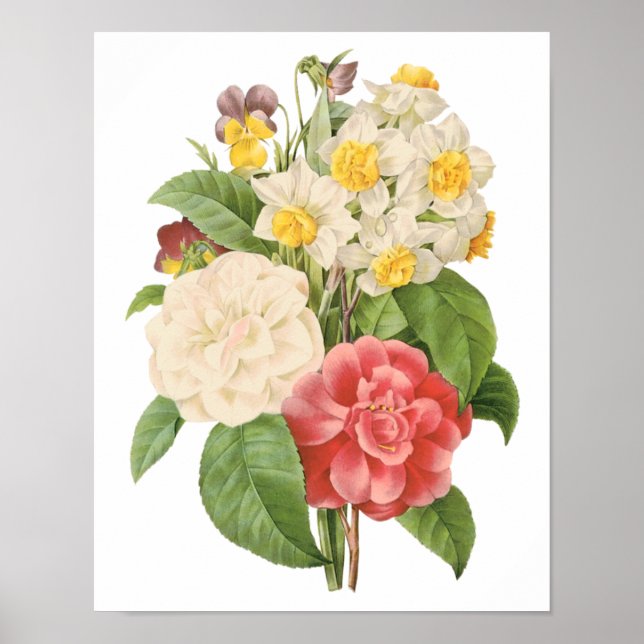 Vintage Blommigt Camelia Daffodil Flowers av Redou Poster (Framsidan)