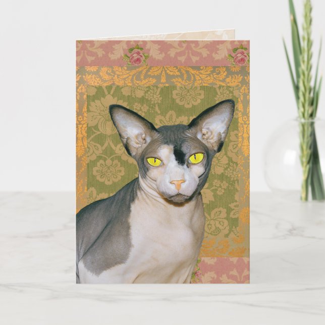 Vintage Blommigt Damask Sphynx Cat Birthday Kort (Framsida)