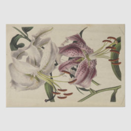 Vintage Blommigt Ephemera Decoupage Lila Lily