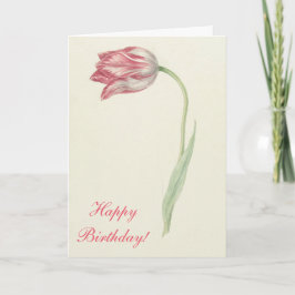 Vintage Blommigt Fine Art Rosa Tulip - födelsedag Kort