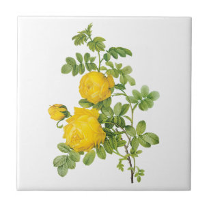Vintage Blommigt Flowers, Gul ros by Redoute Kakelplatta