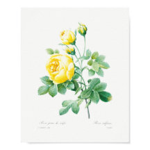 Vintage Blommigt Gul ros