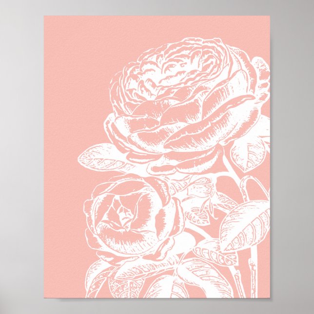 Vintage Blommigt Illustration  Rosa Botanik Poster (Framsidan)