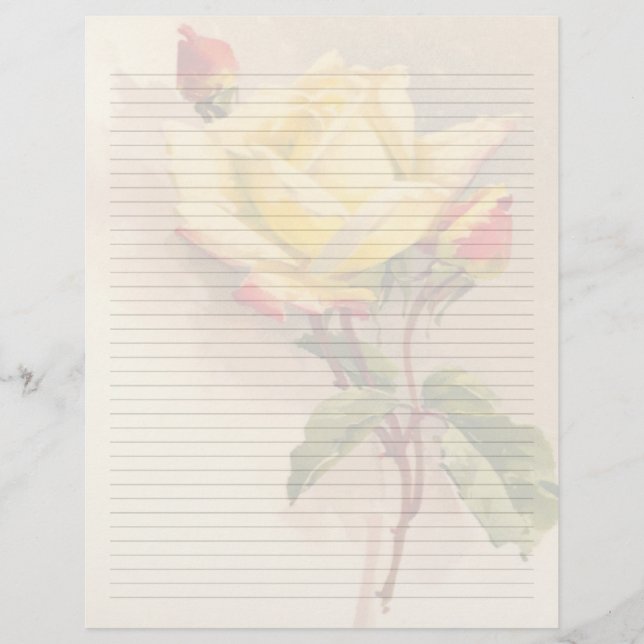 Vintage Blommigt Linje Letterhead Stationery (Framsida)