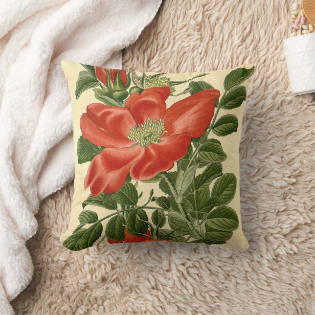 Vintage Blommigt Red Wrinkled Ro Rosa Rugosa Kudde (Filt)