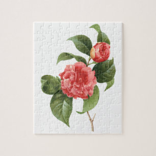 Vintage Blommigt, Rosa Camellia Flowers av Redoute Pussel