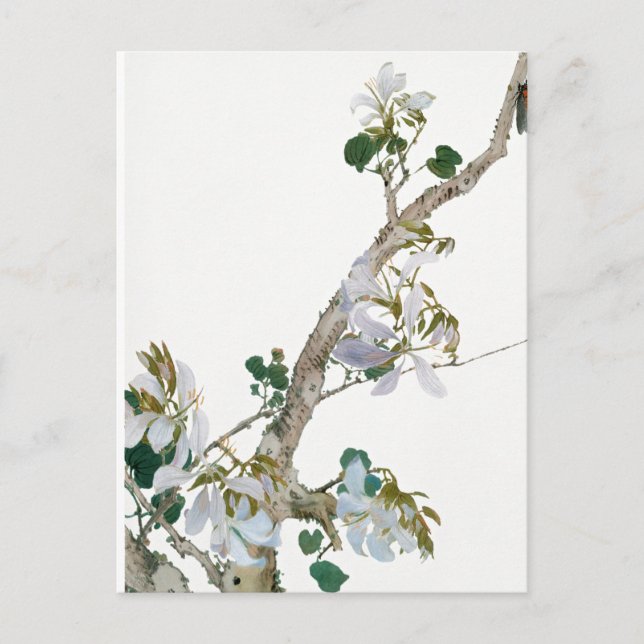 Vintage blommillustration vykort (Framsida)