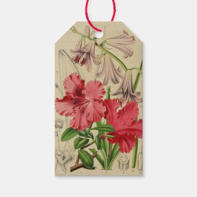 Vintage Blommor Etikett (Framsidan)