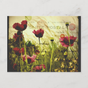 Vintage blommor vykort