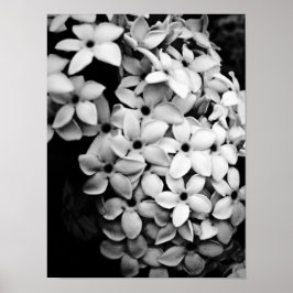 Vintage Blomster- och Trädgårdsdesign Poster