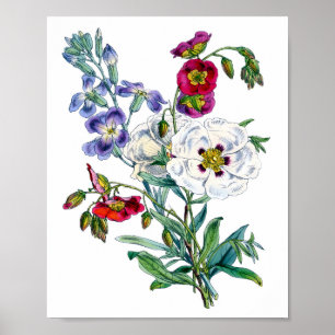 Vintage blomsterbukett akvarell poster