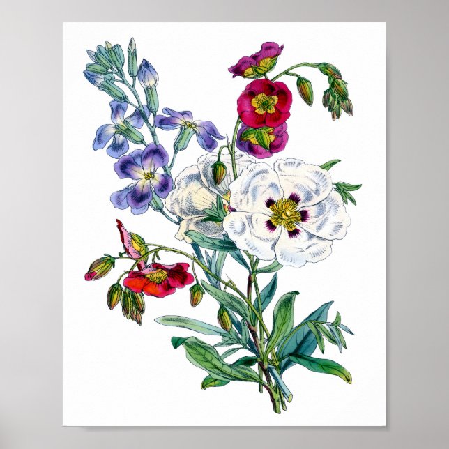 Vintage blomsterbukett akvarell poster (Framsidan)