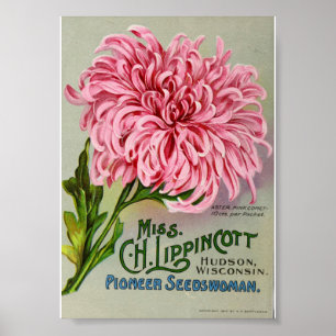 Vintage blomsterförpackning ,Circa 1911 Poster