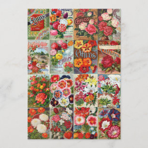 Vintage blomsterförpackningar för utsäde och trädg inbjudningar