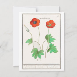 Vintage blomsterkort med vallmor anteckningskort