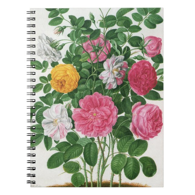 Vintage Blooming Flowers, Vår Garden Ro Anteckningsbok (Framsidan)