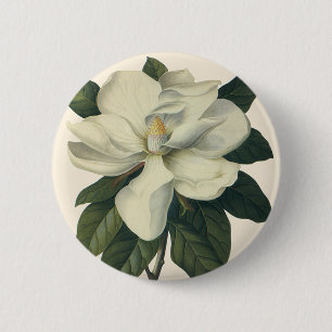 Vintage Blooming White Magnolia Blommar Flowers Knapp