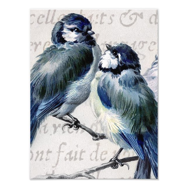 Vintage Blue Birds Collage - Anpassade Bluebirds Fototryck (Framsidan)