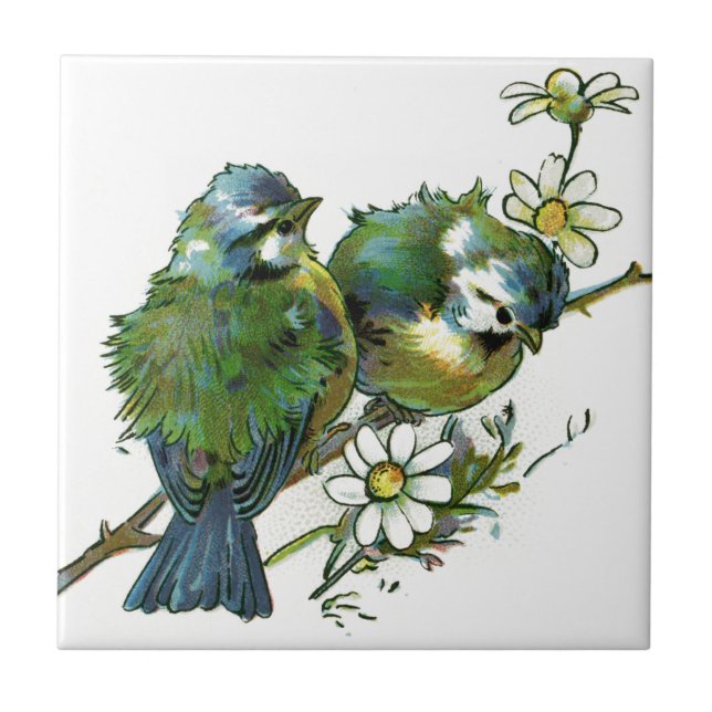 Vintage Blue Birds Kakelplatta (Framsidan)