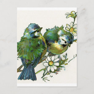 Vintage Blue Birds Vykort