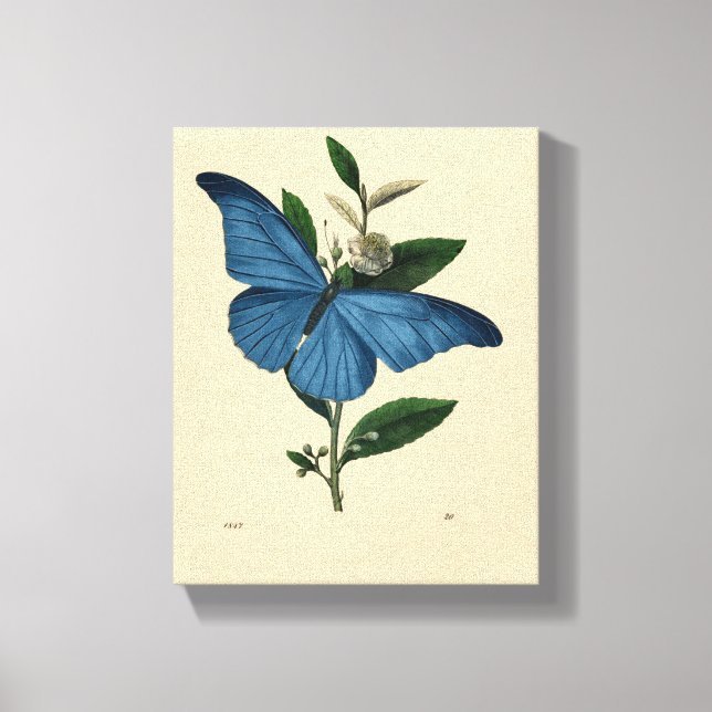 Vintage Blue Butterfly Canvastryck (Framsida)