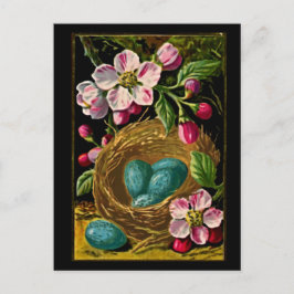 Vintage Blue Eggs i Nest med Blommar Grenar Vykort