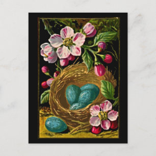Vintage Blue Eggs i Nest med Blommar Grenar Vykort