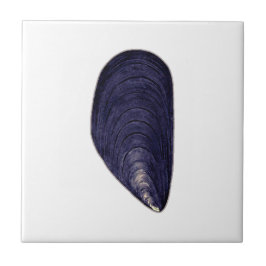 Vintage Blue Mussel Kakelplatta