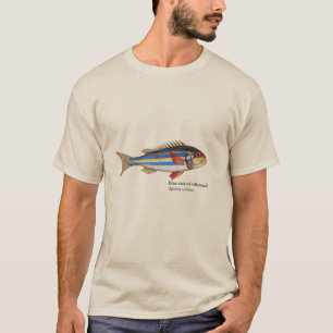 Vintage Blue Stripe Gilt-head Fish Painting T Shirt