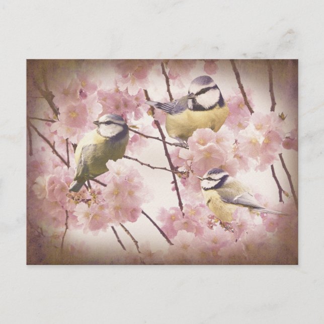 Vintage Blue Tits Vykort (Framsida)