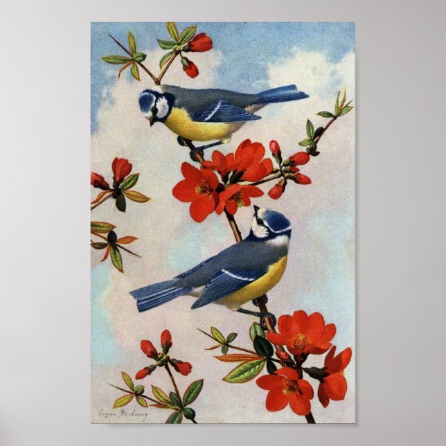 Vintage Bluebirds Red Blommars Art Skriv ut Poster (Framsidan)