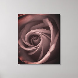 Vintage Blush Rose Canvastryck