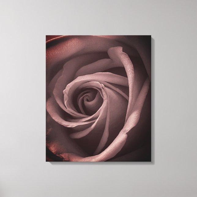 Vintage Blush Rose Canvastryck (Framsida)