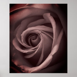 Vintage Blush Rose Poster